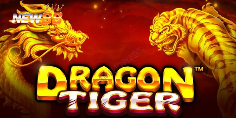 Cách soi cầu rồng hổ hiệu quả