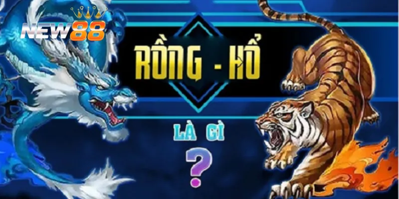 Kinh nghiệm cho từng cách soi cầu rồng hổ