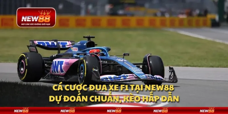 Cá cược đua xe F1 tại New88 - Dự đoán chuẩn, kèo hấp dẫn