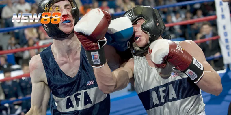 Cách lựa chọn tỷ lệ cá cược boxing