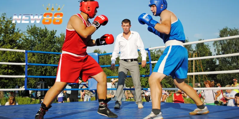 Chiến thuật cá cược boxing