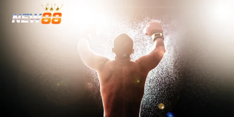 Giới thiệu về cá cược boxing tại NEW88