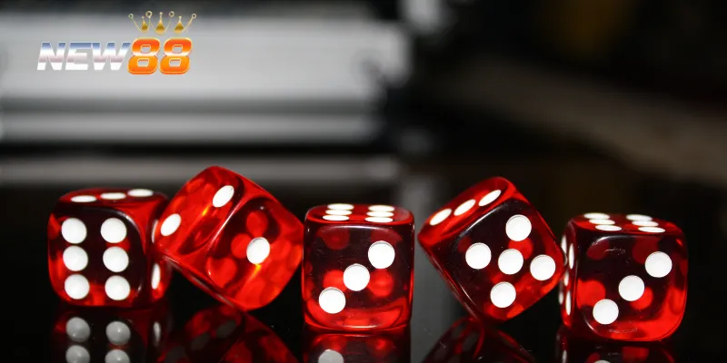 Lý do bạn cần có mẹo thắng tài xỉu trước khi tham gia chơi