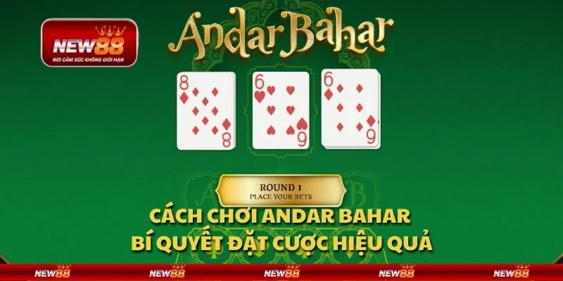 Cách chơi Andar Bahar - Bí quyết đặt cược hiệu quả