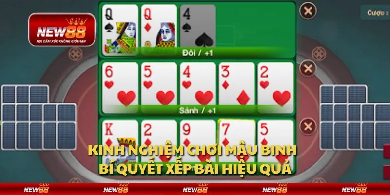 Kinh nghiệm chơi Mậu Binh - Bí quyết xếp bài hiệu quả