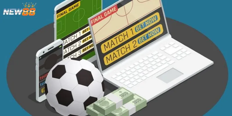 Các môn thể thao live phổ biến để cược