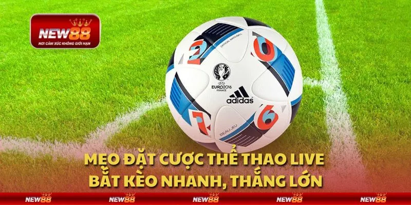 Mẹo đặt cược thể thao live - Bắt kèo nhanh, thắng lớn