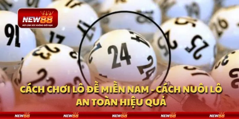 Cách chơi lô đề miền Nam - Cách nuôi lô an toàn hiệu quả