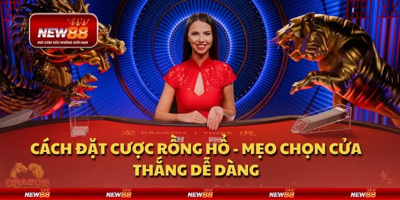 Cách đặt cược Rồng Hổ - Mẹo chọn cửa thắng dễ dàng