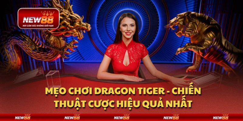 Mẹo chơi Dragon Tiger - Chiến thuật cược hiệu quả nhất