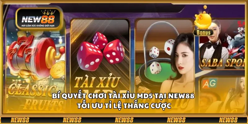 Bí quyết chơi tài xỉu MD5 tại New88 - Tối ưu tỉ lệ thắng cược