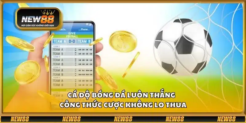 Cá độ bóng đá luôn thắng - Công thức cược không lo thua