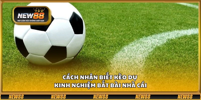 Cách nhận biết kèo dụ – Kinh nghiệm bắt bài nhà cái