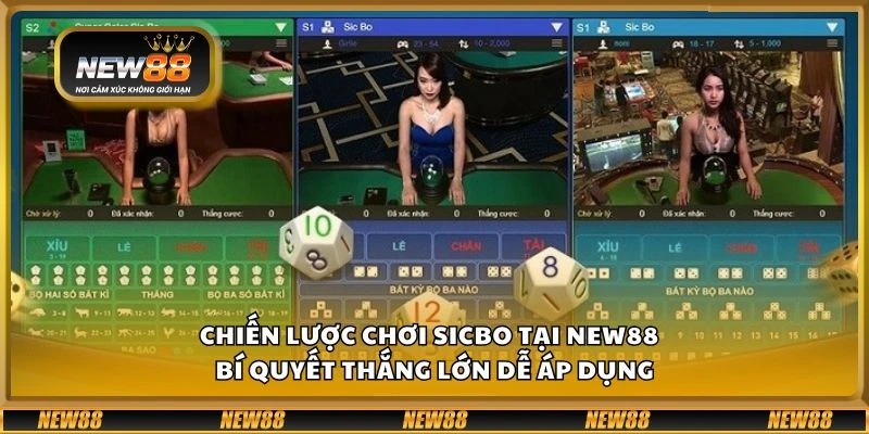 Chiến lược chơi Sicbo tại New88 - Bí quyết thắng lớn dễ áp dụng