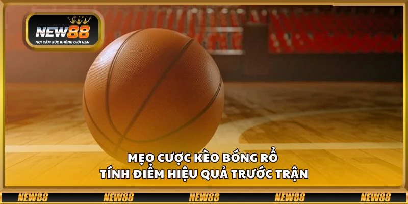 Mẹo cược kèo bóng rổ – Tính điểm hiệu quả trước trận