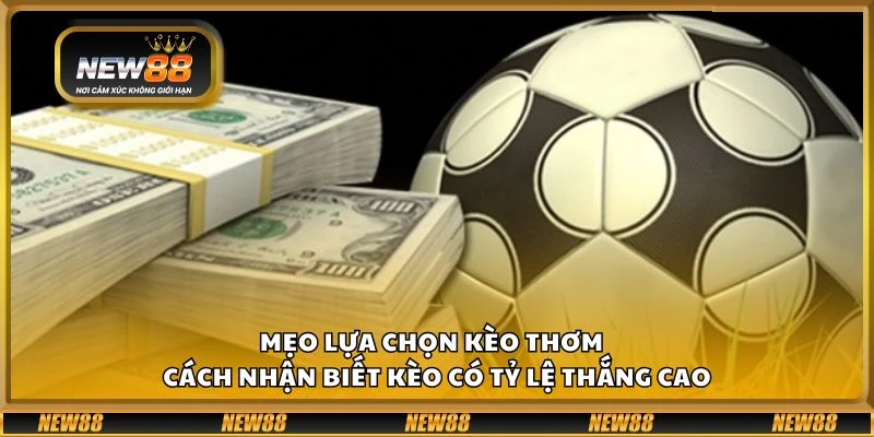 Mẹo lựa chọn kèo thơm – Cách nhận biết kèo có tỷ lệ thắng cao