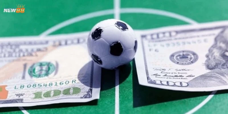 Yếu tố quan trọng cần đánh giá để nhận biết kèo thơm