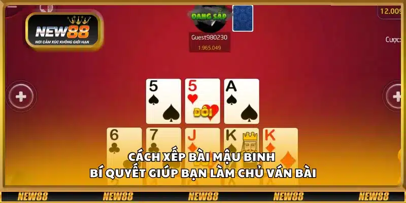 Cách xếp bài Mậu Binh - Bí quyết giúp bạn làm chủ ván bài