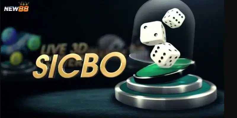Tìm hiểu về bắt cầu sicbo